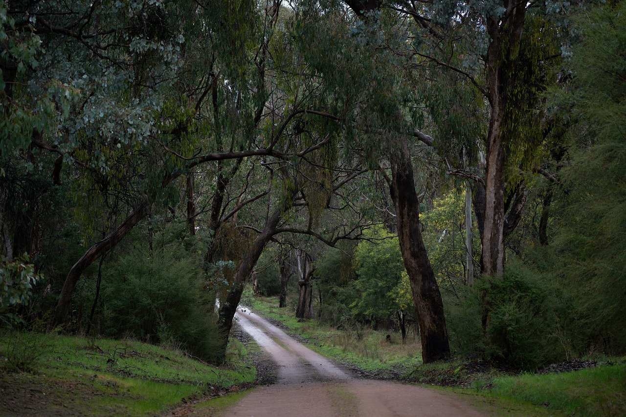 Exploring the Natural Beauty of Australia’s Great Ocean Road